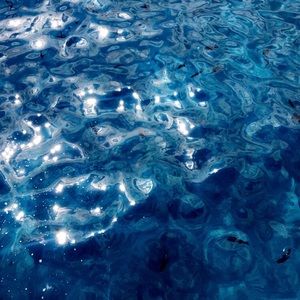 Meet your Posher, Em